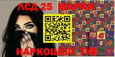 стафф Гатчина