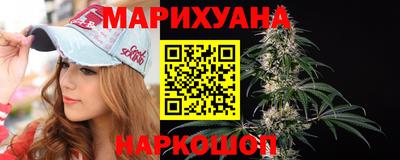 стафф Гатчина