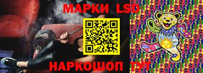 стафф Гатчина