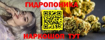 стафф Гатчина